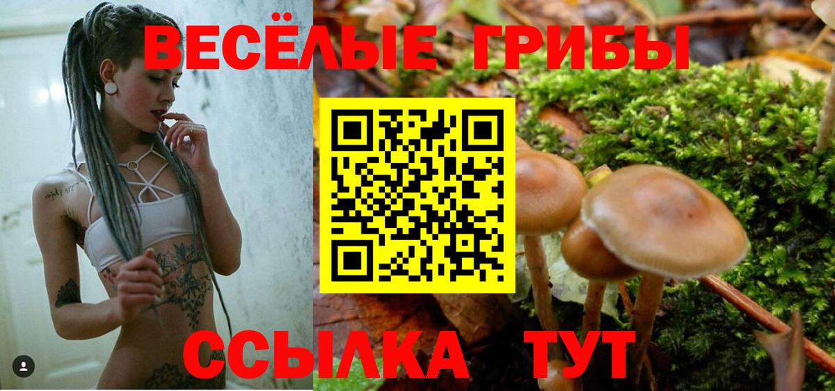 Псилоцибиновые грибы Cubensis  Вход с VPN  цены наркотик  Иркутск 